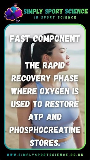 What is the Fast Component of EPOC?