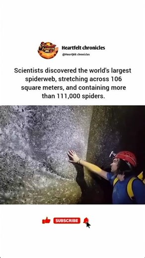 World's Largest Spiderweb is Actually TERRIFYING! 🕷️😱#shorts