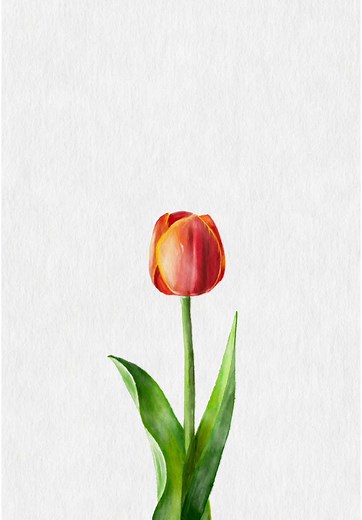 Watercolor Painting Techniques in Procreate Tutorial