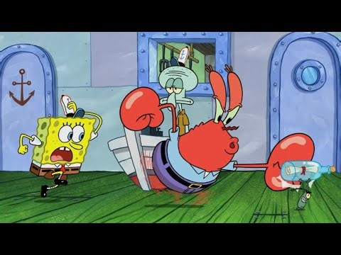 “Hawaiian Adventures” In “Call The Cops”