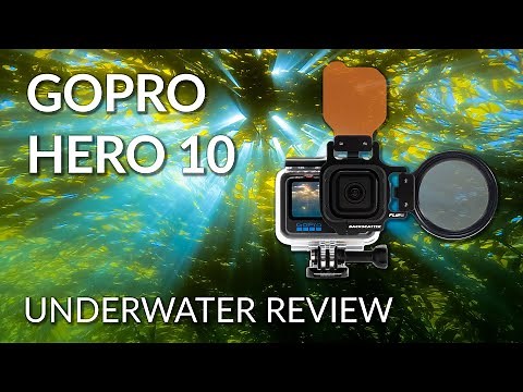 GoPro Hero 10 Underwater Camera Review