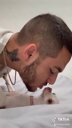 Classic Dog Moments That Never Get Old