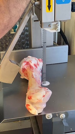 Kasap.cemall TikTok'ta