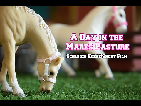 A Day in the Mare's Pasture - Schleich Horse Short Film