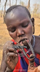 183K views · 1K reactions | In Ethiopia’s Omo Valley, the Mursi women are known for their striking lip plates—a bold symbol of beauty, strength, and cultural identity. But behind this ancient tradition lies a story the world rarely hears. | Unrestricted Borders | Facebook