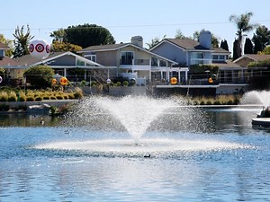 Lake Forest Allergy Tracker: Pollen, Sneezes & Misery