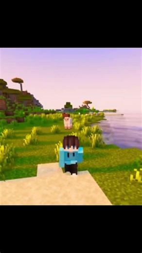 minecraft 's OG way to traveling long distance