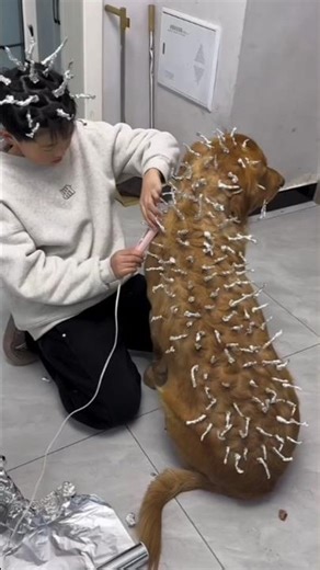 “This Bottle Suddenly Exploded 😱🍾 | Shocking Moment”