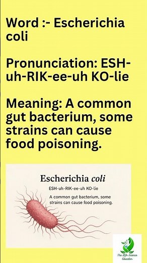 How to Pronounce Escherichia coli + Its Meaning! #biology #thelifescienceeducator #pronunciation