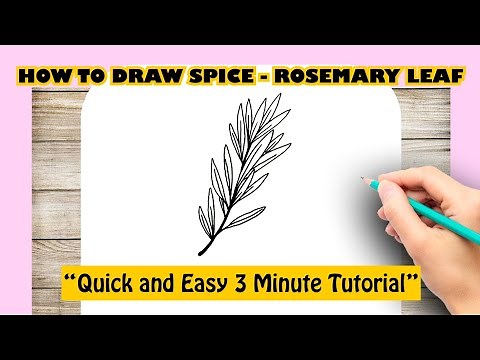 HOW TO DRAW SPICE - ROSEMARY LEAF