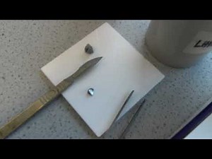 Alkali metals and water