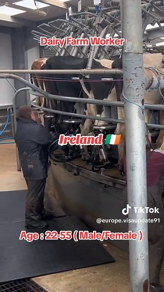 Dairy Farm Worker Opportunities in Ireland 🇮🇪