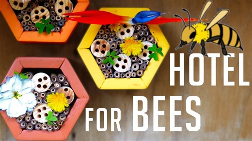 The hive that everyone’s buzzing about!