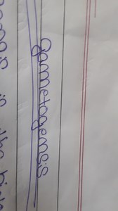 What is gametogenesis in the biology?... | Filo