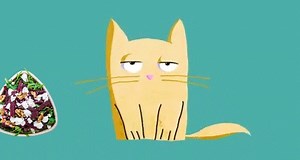 49K views · 40 reactions | When everyone's talking about the football finals, but we'd rather just have a Soul Origin salad. | Soul Origin | Facebook