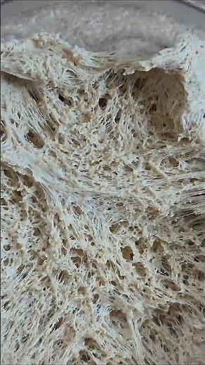 부드러운 100% 통밀빵 whole wheat 100 bread#sourdough#baking#사워도우 #bread