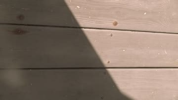 C Street, Wrightsville Beach Surf Report, Surf Forecast and Surf Cam - Surfline