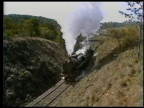 Australian steam locomotives 3801, 5910 & 3016 - Canberra tour - July 1995