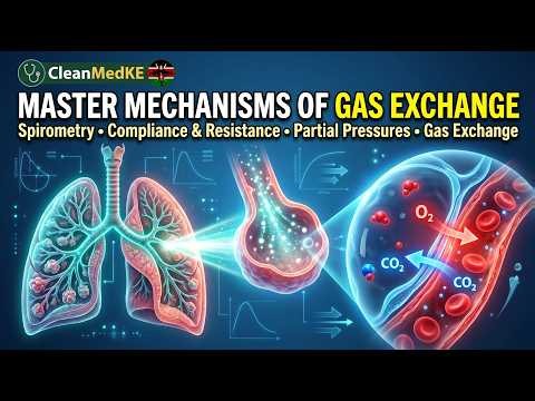 Respiratory Anatomy and the Mechanics of Gas Exchange; Spirometry, Compliance and Resistance.