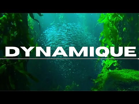 Musique Instrumental Dynamique • Instrumental Music