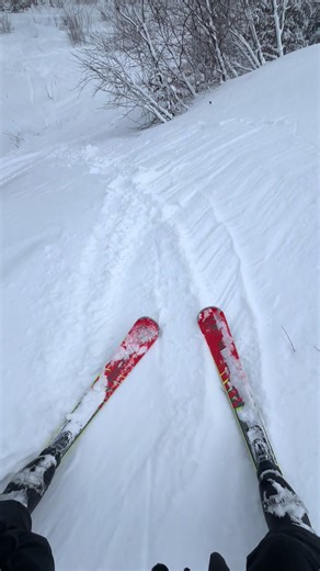 Kylie's Amazing Ski Adventures