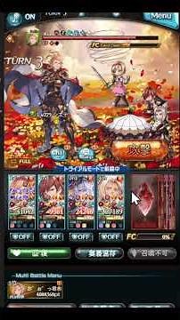 【グラブル】シエテ青箱2T30秒手動編成
