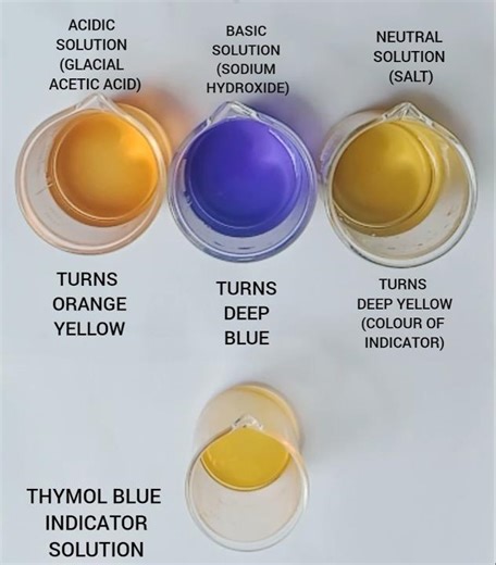 TESTING THYMOL BLUE pH INDICATOR SOLUTION WITH ACIDIC, BASIC AND NEUTRAL SOLUTION