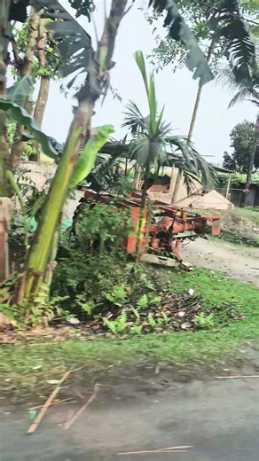 Assam road side village view
