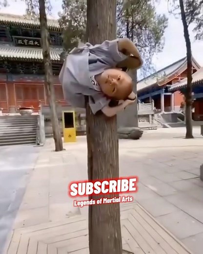 The Journey of Shaolin Children 🙅🏻‍♂️ #martialarts #martialartsforlife #martialartslifestyle