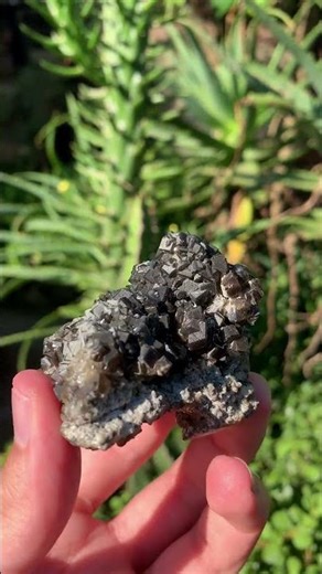 Natural Rare Black Smithsonite Cluster x 1 From Tsumeb, Namibia