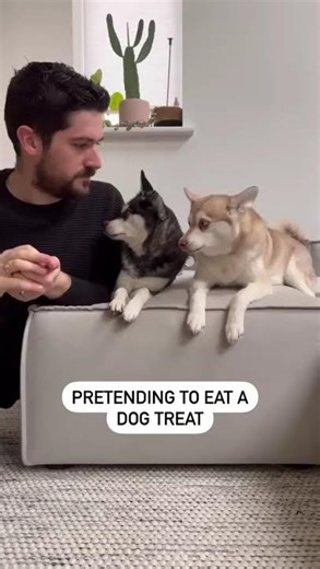 I Pretended to Eat My Dogs’ Treats… Their Reaction