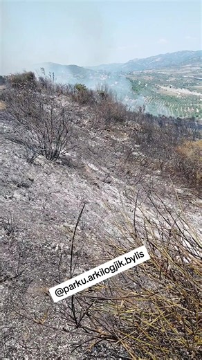 Parku Arkeologjik Byllis: guide to Byllis archaeological park