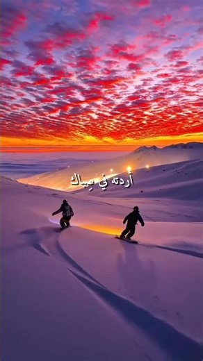 أغنية The nights - Avicii مدبلجة بالعربية #Avicii #thenights #مدبلجة_بالعربية #arabiccover
