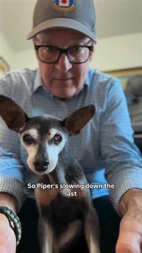 Dennis | Dog Content Creator on Instagram: "Imposter update. If someone is texting you outside of the social media messenger apps the odds are it’s not me. Ask that person to face time with you, he won’t be able to impersonate me live. Red flag. 🚩 I never ask for money, Never! #deepfake #ai #deepfakeawareness"