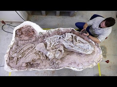 Why Did This 150-Million-Year-Old Fossil Terrify Paleontologists? Documentary
