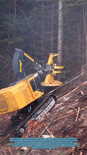 Tigercat Feller Buncher Working #Forestry #Tigercat