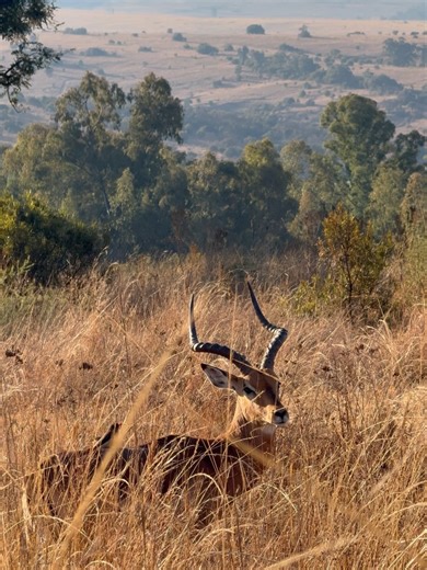 Cradle Moon Lakeside Game Lodge on Reels | Facebook