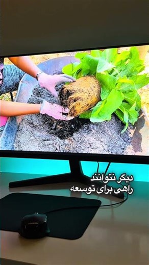 🌱 Why Seedlings Stop Growing! #indoor #timelapse