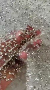 Silver Rhinestones Glitter Fabric on a Mesh by the Yard, Ombre Effect Rhinestones Mesh Glitter Fabric, Glitter Fabric | Sparkle Fabric - Etsy