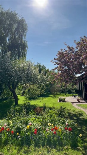 Spring Bulb Planting Reminder