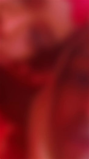 biftu (@oromobiftu)’s videos with original sound - biftu