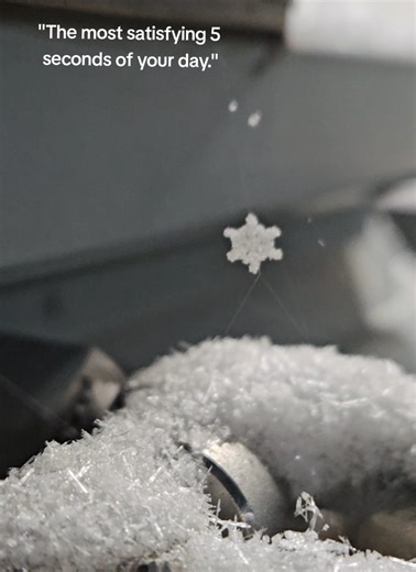 ​Someone tell the simulation the graphics are getting too realistic... #fyp ​#snowflake #macrophotography #winter2026 #natureperfection