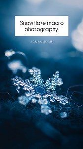 Snowflake macro photography ❄️✨ My setup: Sony a7 IV & Sony FE 100mm F2.8 Macro GM OSS & 2x teleconverter #macrophotography #naturephotography #SonyAlpha #wintermacro #snowflakemacro | Macro Viewpoint