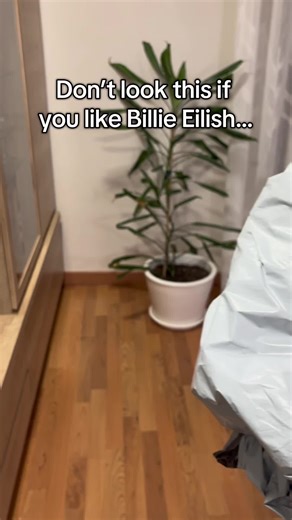 Hello Kitty Meets Billie Eilish Plushie