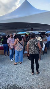 Live at the Coquito Festival on STX | Virgin Islands Source