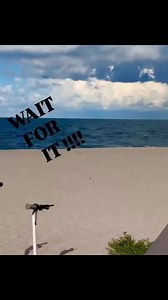 RARE SIGHTING: Bobcat spotted on Caspersen Beach In Venice, Florida 👀➡️ #OnlyinFlorida Via @ross_stepanek #onlyinfl #floridawildlife #floridabeaches #venice #florida | Only In Florida