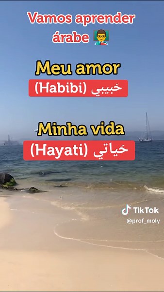 Aprenda Árabe: Significados de 'Hayaty' e 'Habibi' em Português