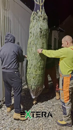 Ten pravý vianočný pocit neprichádza 24. decembra… ale presne vtedy, keď si od nás odnášate svoj stromček | Extera