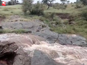 HEAVY RAINFALL CONTINUES: Widespread showers have persisted across many parts of the country this week, with recent intense rainfall particularly affecting the north-western and western regions. Karibib, Omaruru, Swakopmund, Uis, Spitzkoppe, and Hoada Campsite are among the areas that have recently experienced moderate to heavy showers. However, the north-western and western regions are not the only areas to have received significant rainfall. Several other places, from the northern regions to t