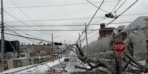 Must-see photos: Crippling ice in Nashville destroys power lines, snaps trees during catastrophic winter storm